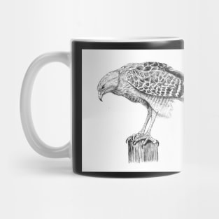 The Hawk Mug